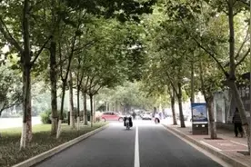 爱家乡 游河北 发现身边的美 | 这5个地方，藏着沧州最美的秋天！图片