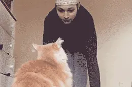 搞笑GIF：你这是咋回事？咋那么招人喜欢图片