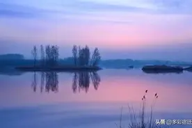 沭阳沂河淌成这样了！图片