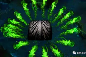 最新研究：轮胎剧毒无比，化身“神秘杀手”图片