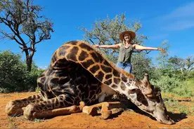 狩猎能保护动物吗？她狩猎500只野生动物，却自称“保护动物”图片