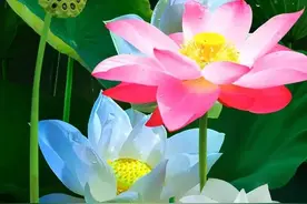 一个男人越是爱你，就越会这样对你图片