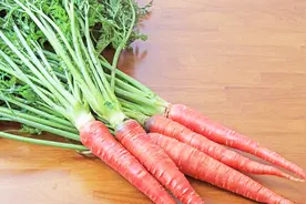 胡萝卜叶子千万别扔，它的这些妙用，很多人都不知道视频封面