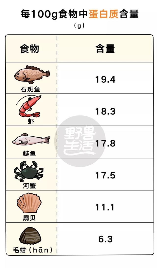 牛、猪、鸡、鱼，哪种蛋白质更好？