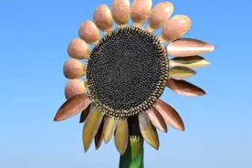 亲子共读，和孩子一起走在阅读的路上图片