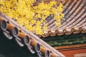 雍秦历史文化随笔系列之——《秋游秦穆公墓园》图片