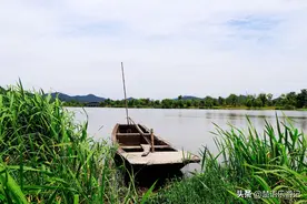 上虞有一个1500亩的人工湖，元代形成八景，风光可比千岛湖，免费图片