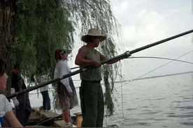 乌龟聚会？武汉南湖现大量乌龟，钓友：半天钓了十来只，哪来的？图片