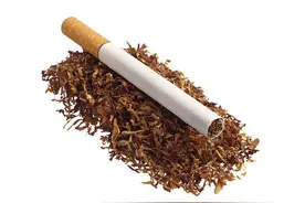 漫谈富平烟草种植图片