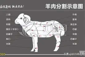 买羊肉时，内行人专买这3个部位，肉质最鲜美，老板一看就是行家图片