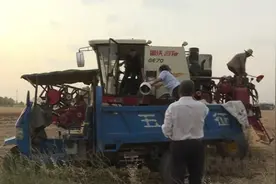 这个乡为了鼓励秸秆还田，一亩地补助五块钱图片