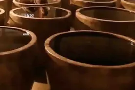 陕西延安十大特产有哪些图片