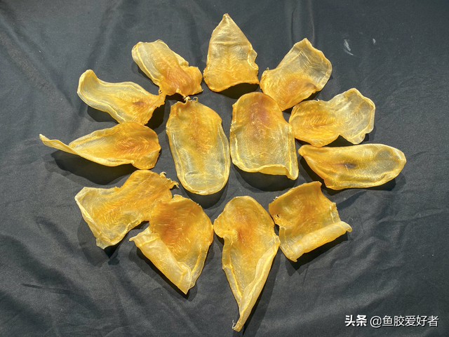 巴基斯坦白花胶 2026年巴基斯坦白花胶的功效