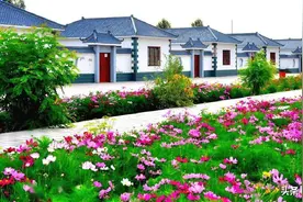 农村“一刀切”政策或将取消？3件事不再强制，涉及哪些方面？图片