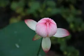 心态好了，你就赢了图片