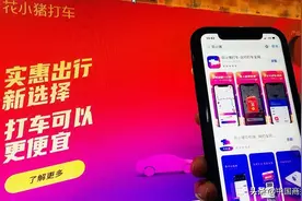 就是便宜！滴滴旗下花小猪要做出行界拼多多？图片