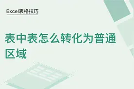 Excel表格技巧—表中表怎么转化为普通区域图片