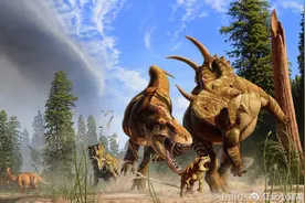 奇特长角恐龙，连古生物学家都分不清图片