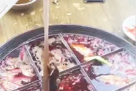 男子吃火锅从汤中捞出一只老鼠 店员：当地监管部门正调查视频封面