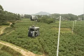 穿梭机高空行走送包裹！茂名试水全国首条智慧物流快线图片