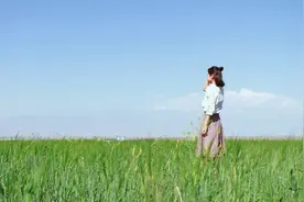 我见过情商最高的人，都不讲道理图片