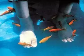 电影没哭戏不够虐？恕我直言，伊朗这部9.2分的片会让你欲哭不能图片