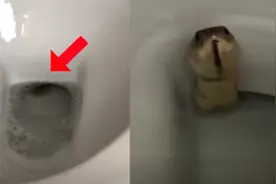 马桶老冲不干净，男子往里一看，吓得7天不敢上厕所图片