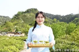 商洛好山好水出好茶 县长、主播一同开启带货直播 助力陕茶增效图片
