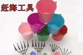 透肥，争鲜！来日照赶海，一挖一麻袋！图片