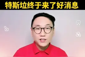 特斯拉车主这下开心了……图片