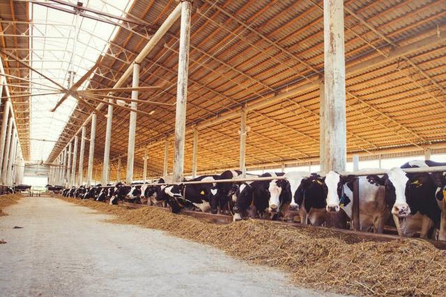 舌尖上的安全（8）——解读牛奶中的β-内酰胺酶