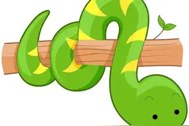 毒蛇把自己咬了会怎样，会被自己的毒液毒死吗？图片