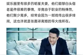 出人意料！张嘉译近日结束11年婚姻，好男人形象一夜崩塌图片