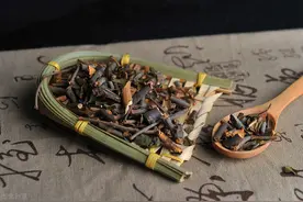 《神农本草经》里的中医要药！桑寄生：治腰疼、腿疼？腰腿疼图片