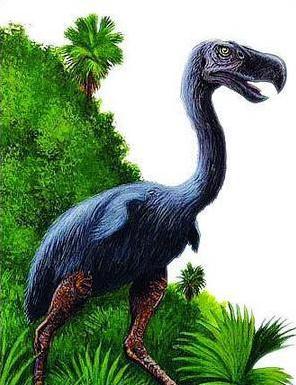 比恐龙更可怕9种动物,发起飙来,它能杀死霸王龙