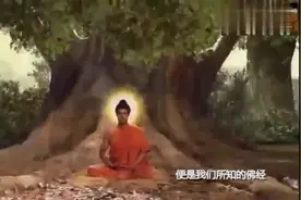 《佛陀传》带你了解释迦牟尼佛的一生！视频封面