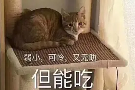 当宿管阿姨检查大学生宿舍“违规用品”后，那画风，就像是去进货图片