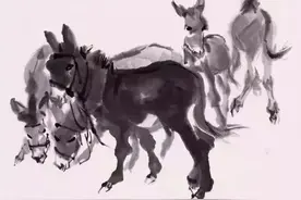 黄胄：画毛驴的浅见图片