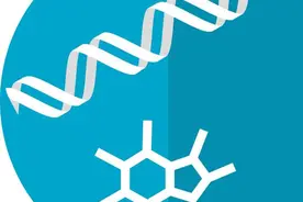 维生素B12缺乏与怀孕期间的肥胖有关图片