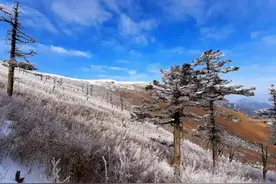 已婚男士为什么还是会喜欢上另一个人？渡边淳一给了一个满分答案图片