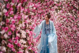 婀娜粉黛娉婷色，世外仙姝临绵州。春光料峭无限好，辛夷花神静待君。图片