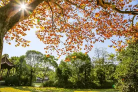 年薪25万元！欢迎加入浙江师范大学博士后科研流动站图片
