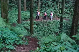 成都周边游 | 走进森林，走进自己图片