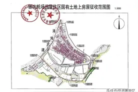 银坑蚝场旧居住区国有土地上房屋征收决定书图片