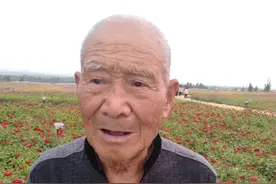 线索征集｜河北保定籍老兵崔水全（泉）早年随军赴台，老家亲人盼寻老兵及其后代在台音讯图片