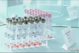 又有5家世界500强落户深圳！深圳这样稳外贸外资图片