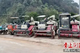 我们村里的年轻人丨王辉煌：PE工程师返乡当职业农民图片