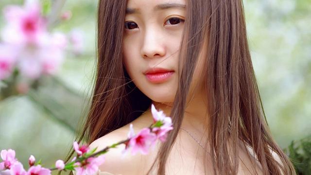 「情感散文」爱情，如一朵凋零的蔷薇花