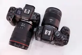 这才是全幅专微该有的样子！无忌编辑为你深度解读EOS R5/R6图片