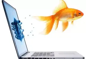 ɻ֪ʮ߻